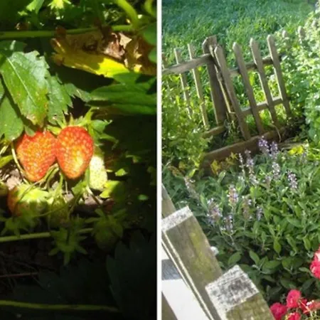 Gmosnhof Farm stay *